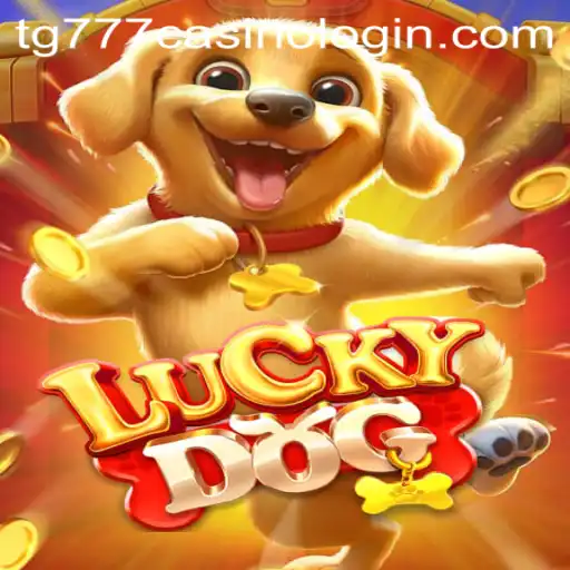 Discover the Exciting World of LuckyDog: A Comprehensive Guide
